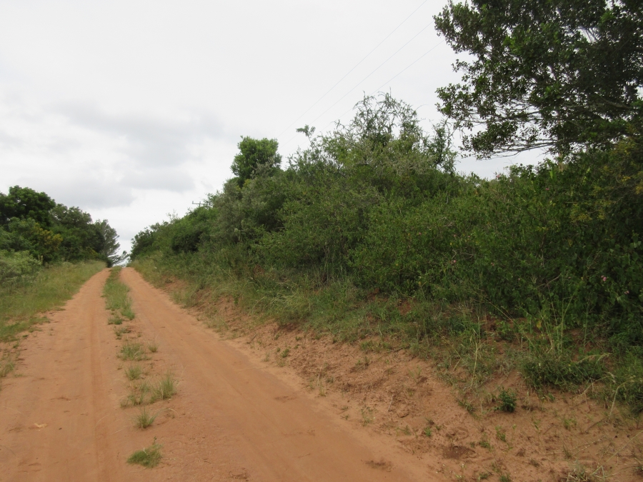 0 Bedroom Property for Sale in Bathurst Eastern Cape